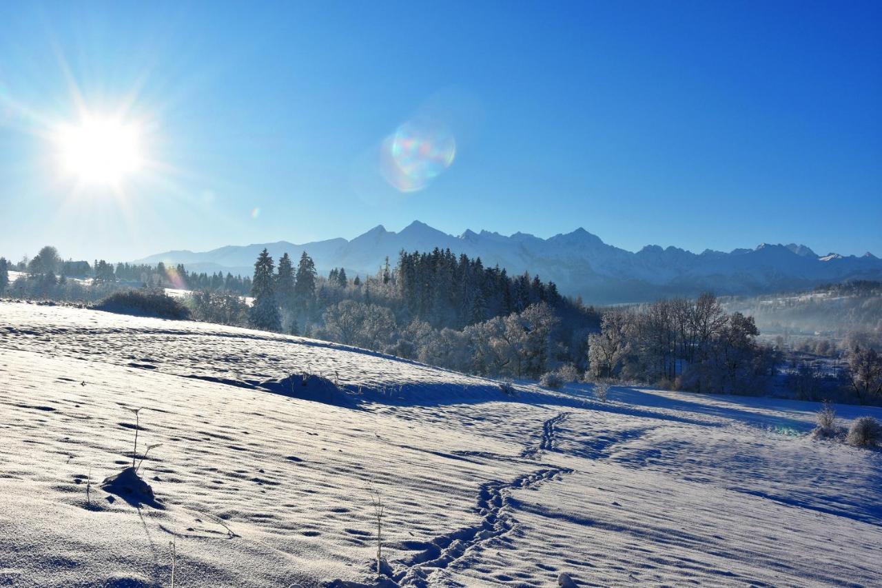Willa Zielona Polana Czarna Góra Buitenkant foto